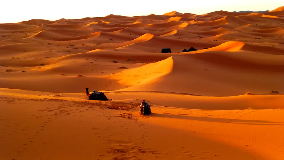 Dunas de arena en el Sáhara marroquí