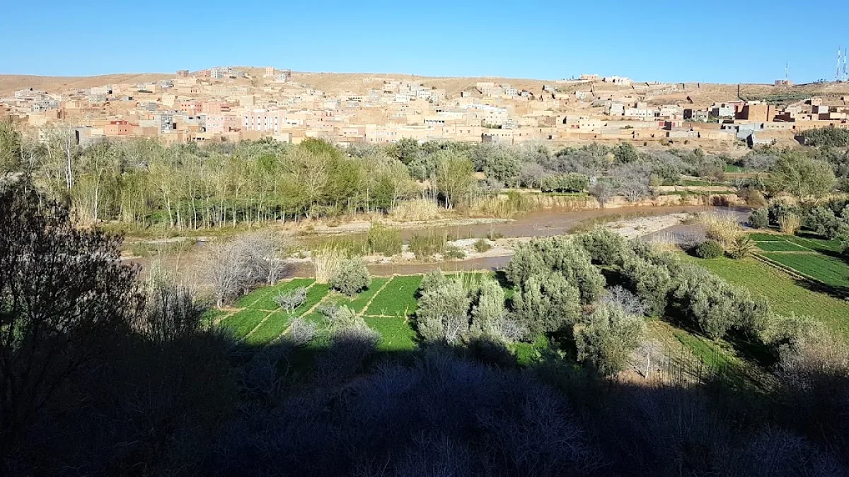 Un valle de palmeras en el interior de Marruecos