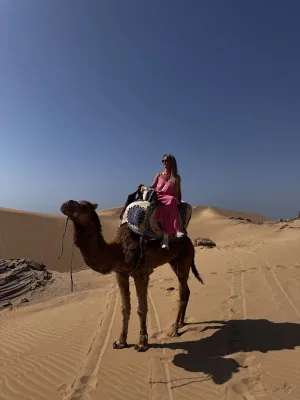 Camels in the Moroccan desert — Surf and camel ride in the Timlalin dunes