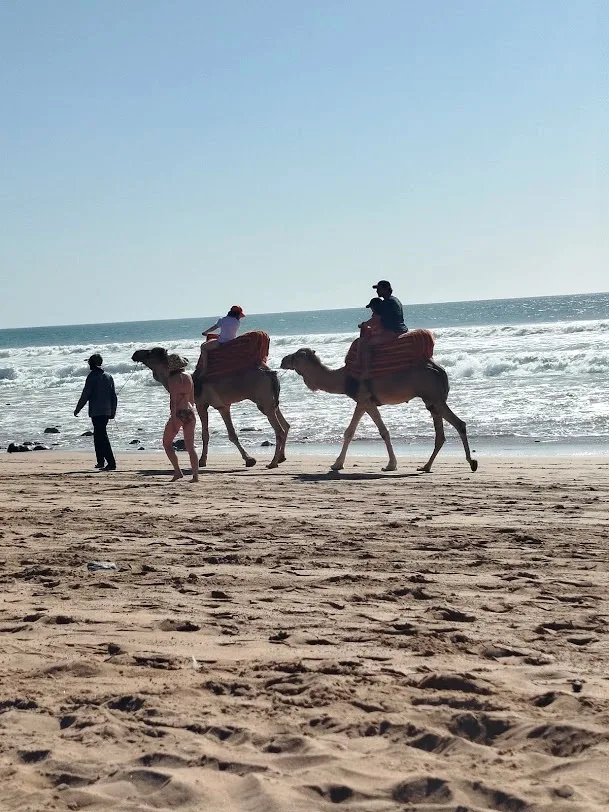 Cammelli nel deserto marocchino — Surf e giro in cammello sulle dune di Timlalin