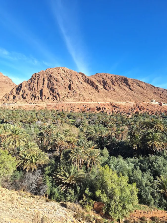 The palm gorge and pools at Paradise Valley — Surf and desert: Agadir to Merzouga and back
