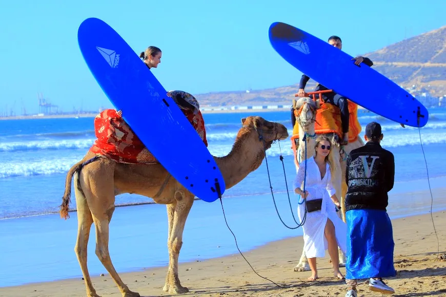 Cammelli nel deserto marocchino — Surf e giro in cammello sulle dune di Timlalin