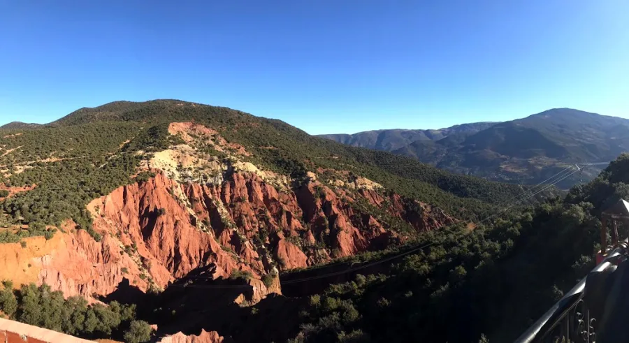 A palm valley in the Moroccan interior — Surf and Paradise Valley day trip